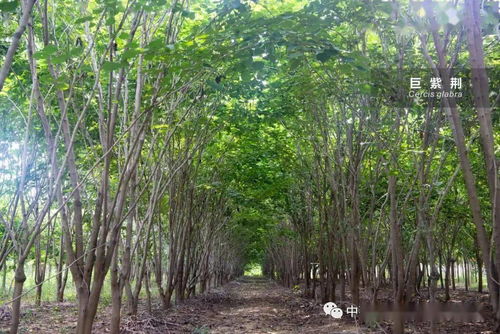 三客游 產(chǎn)銷(xiāo)資訊 四十