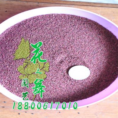 種子系列 廠家直銷 批發(fā)蛇莓種子 當(dāng)年采 量大優(yōu)惠 發(fā)芽率高 蛇莓種子價(jià)格圖片|種子系列 廠家直銷 批發(fā)蛇莓種子 當(dāng)年采 量大優(yōu)惠 發(fā)芽率高 蛇莓種子價(jià)格產(chǎn)品圖片由沭陽縣花之舞綠化苗木場公司生產(chǎn)提供-