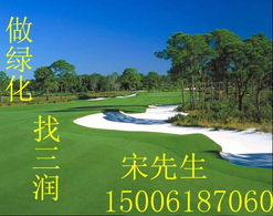 無(wú)錫草坪無(wú)錫綠化工程 3元 ㎡