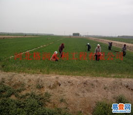 【出售膜下噴灌帶價(jià)格_湘潭縣大田噴灌廠家】-省內(nèi)其它易登網(wǎng)