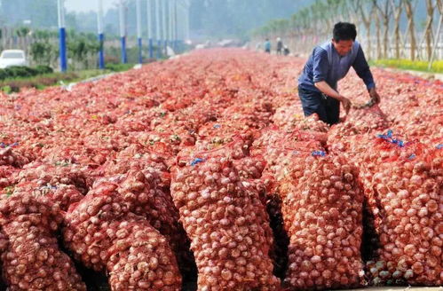 濟寧發布重大利好消息 惠及全市800萬人...